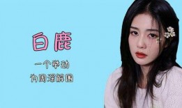 圈内人直播爆料白鹿,白鹿直播幕后故事